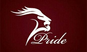 Фото логотип входные двери Pride